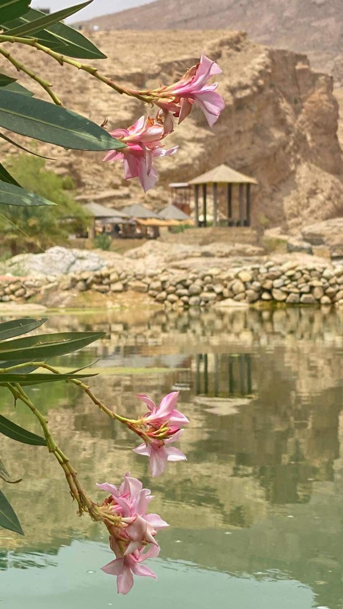 Wadi Bani Khalid - Al Joud Green Hostel Dawwah Exteriör bild